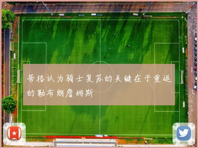 蒂格认为骑士复苏的关键在于重返的勒布朗詹姆斯