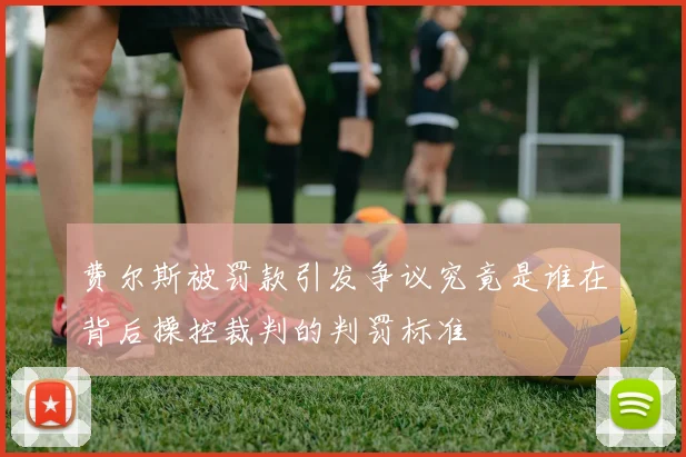 费尔斯被罚款引发争议究竟是谁在背后操控裁判的判罚标准
